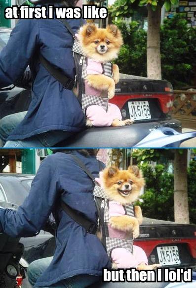 at-first-i-was-like-but-then-i-lold.jpg